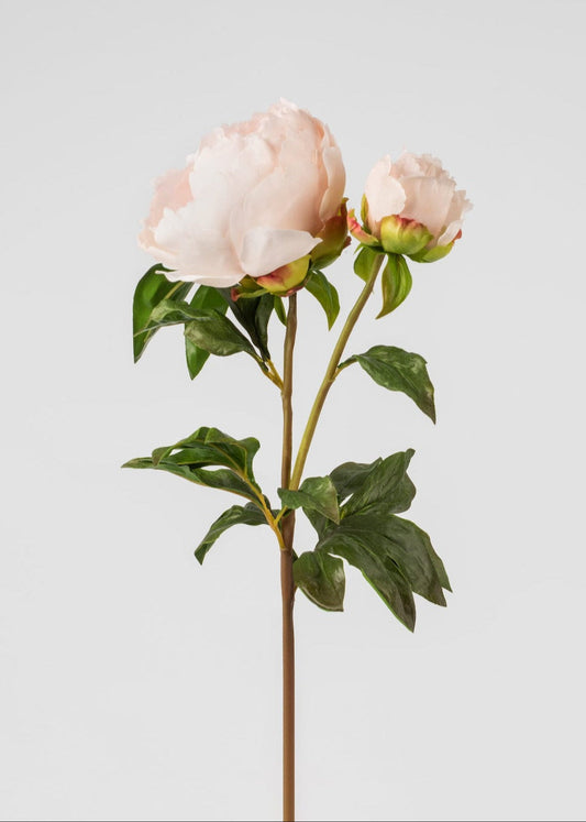 Real Touch Fake Flowers Blush Peony - 27"