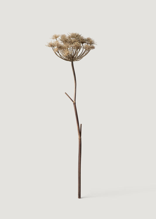 Natural Brown Artificial Wild Angelica Flower - 35.25"