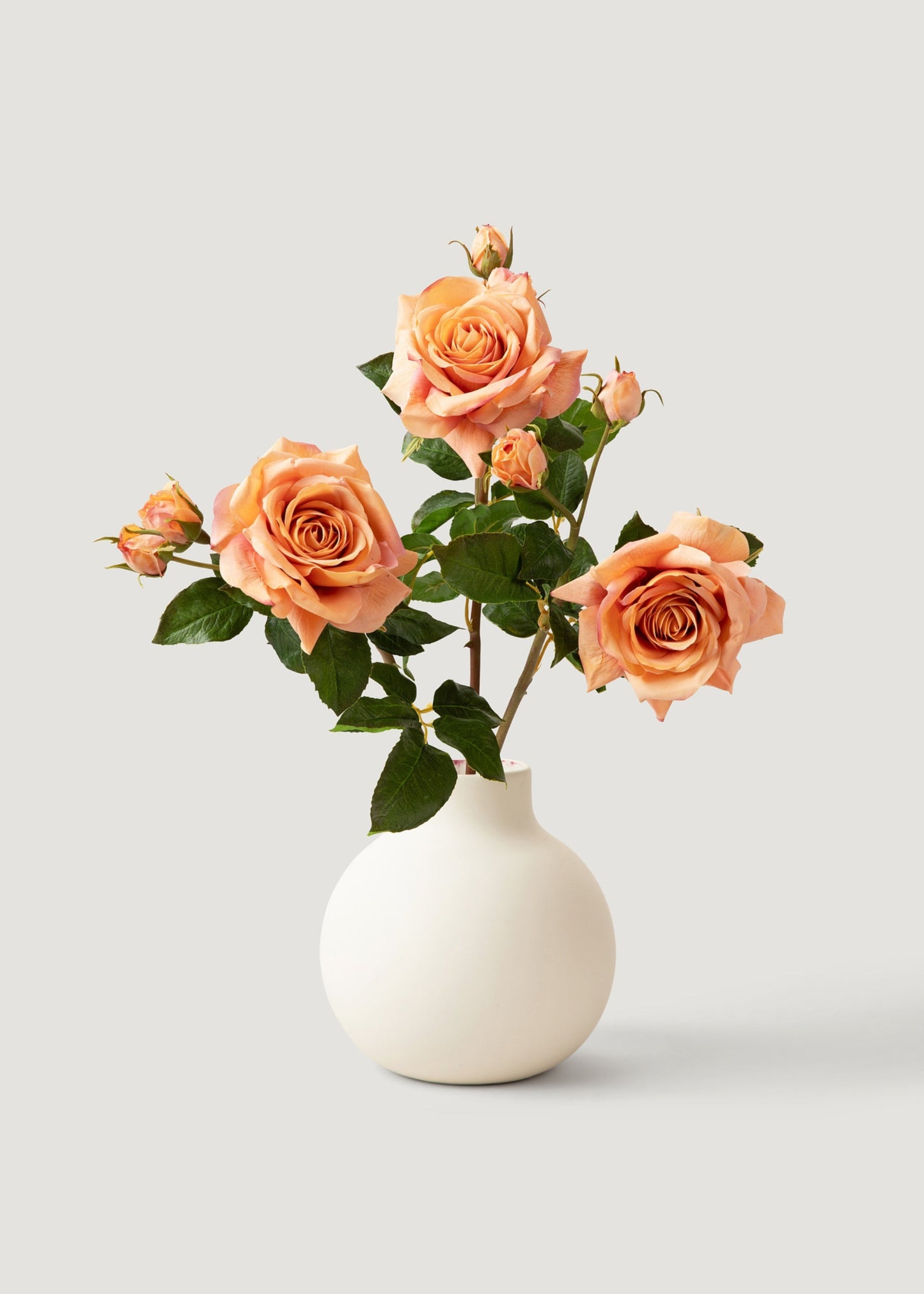 Coral Real Touch English Rose Artificial Flower - 22"