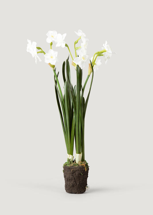 Artificial Spring Paperwhite Drop-In Plant - 17"