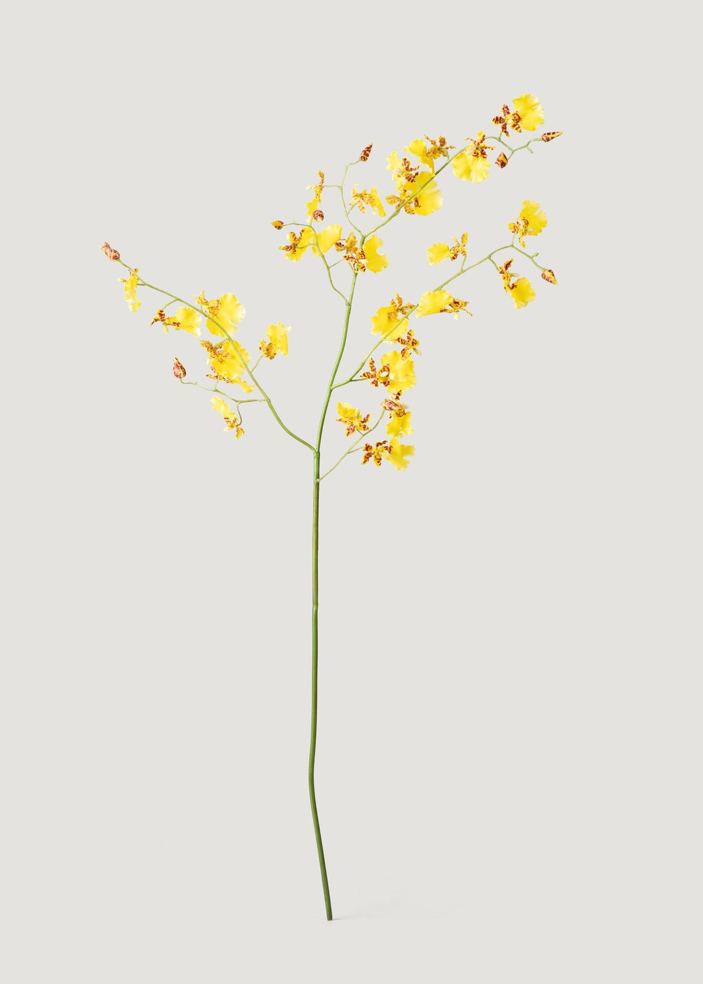 Artificial Dancing Orchids in Yellow - 46"