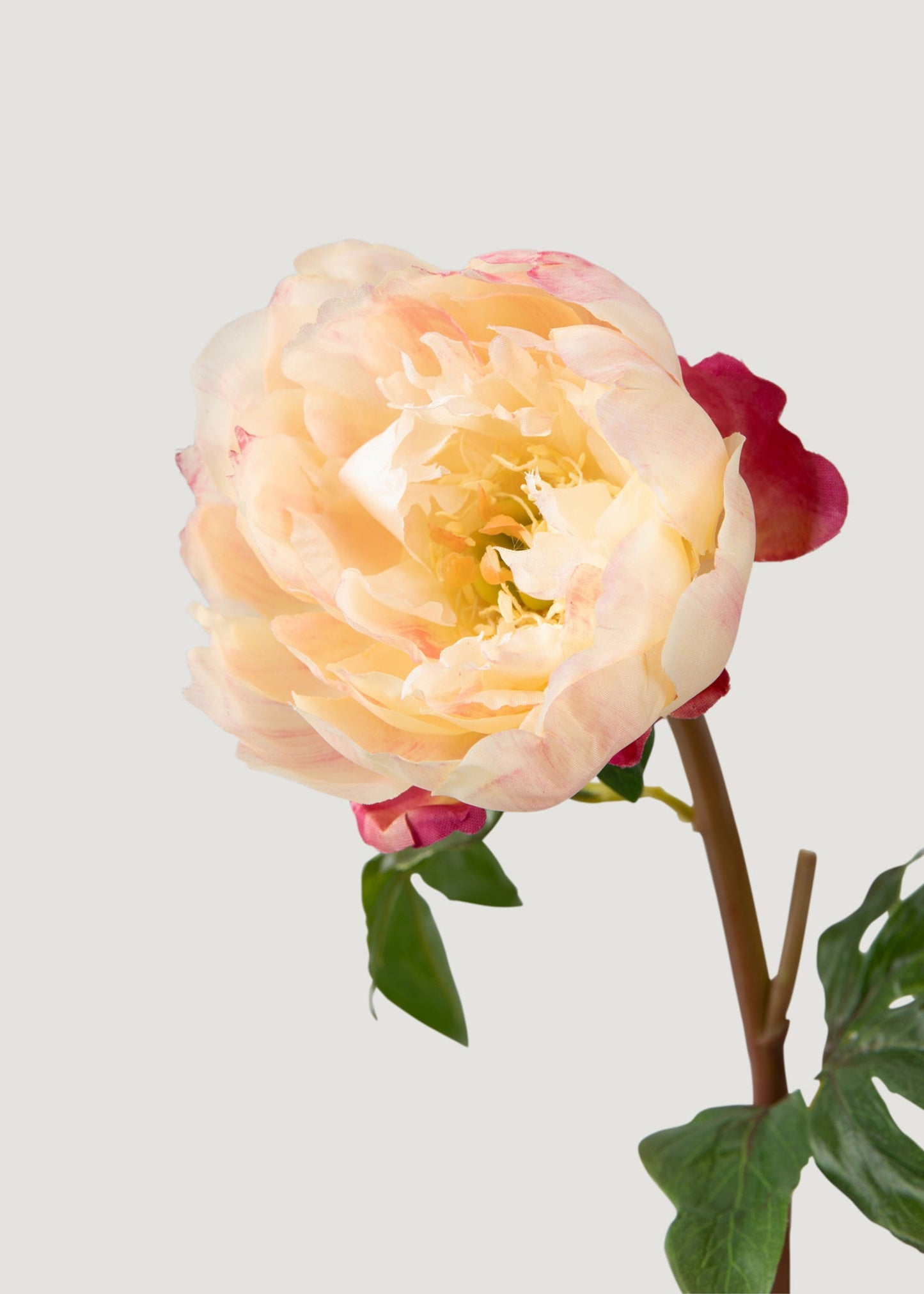 Faux Peony Flower in Peach Pink - 20"