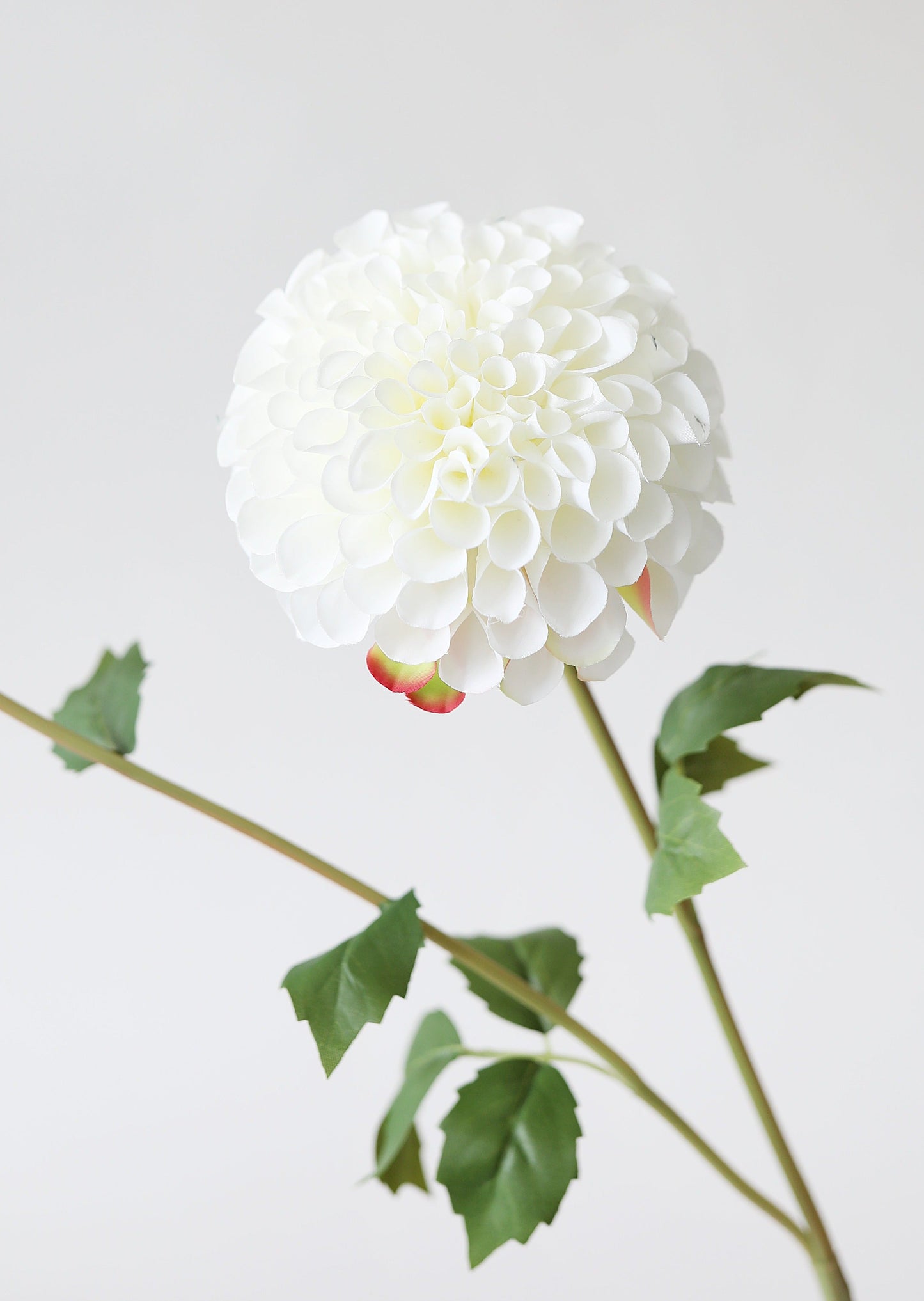 Blooming Fake Dahlia in White - 31"