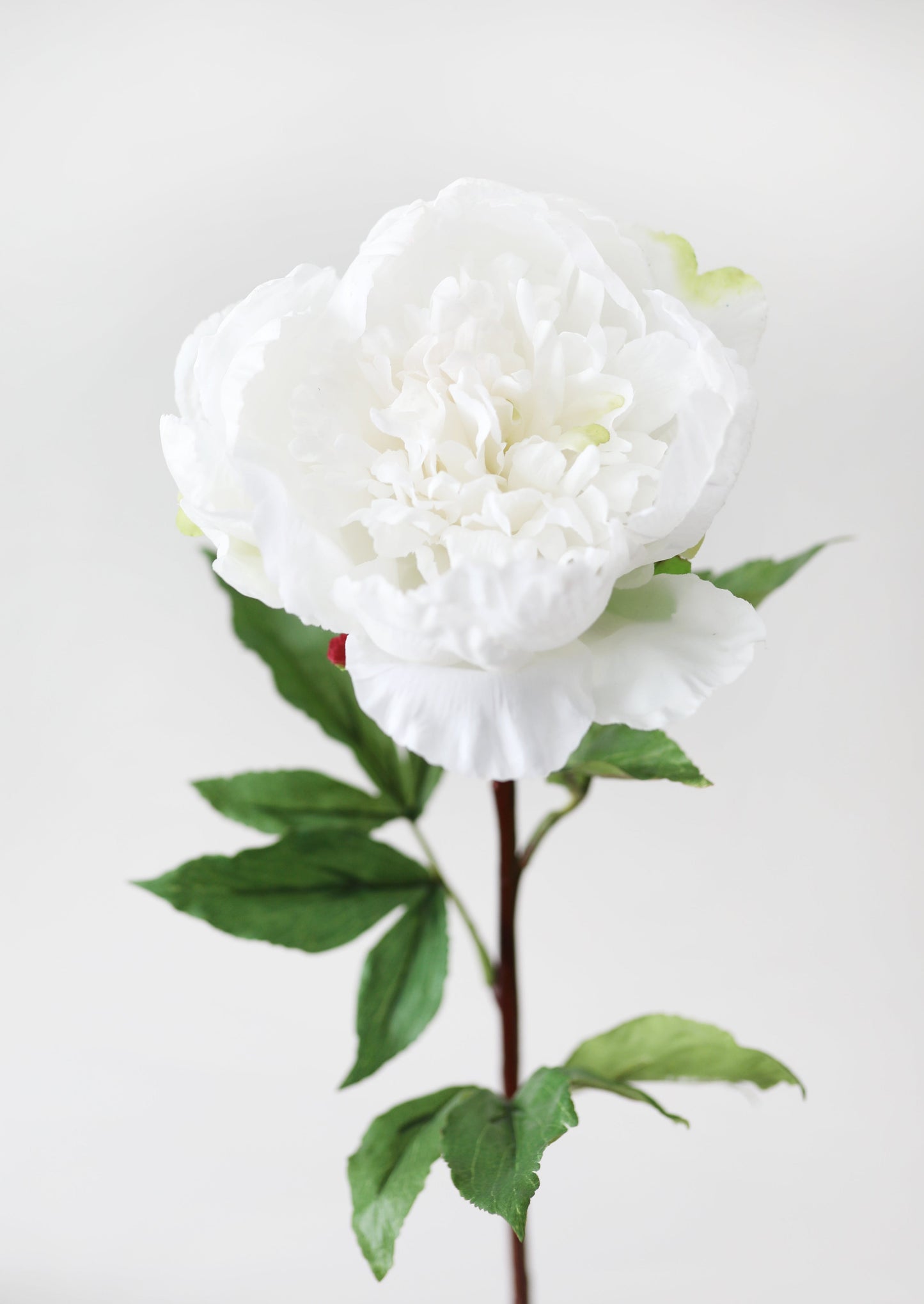 Cream White Faux Real Touch Peony Flower - 30"