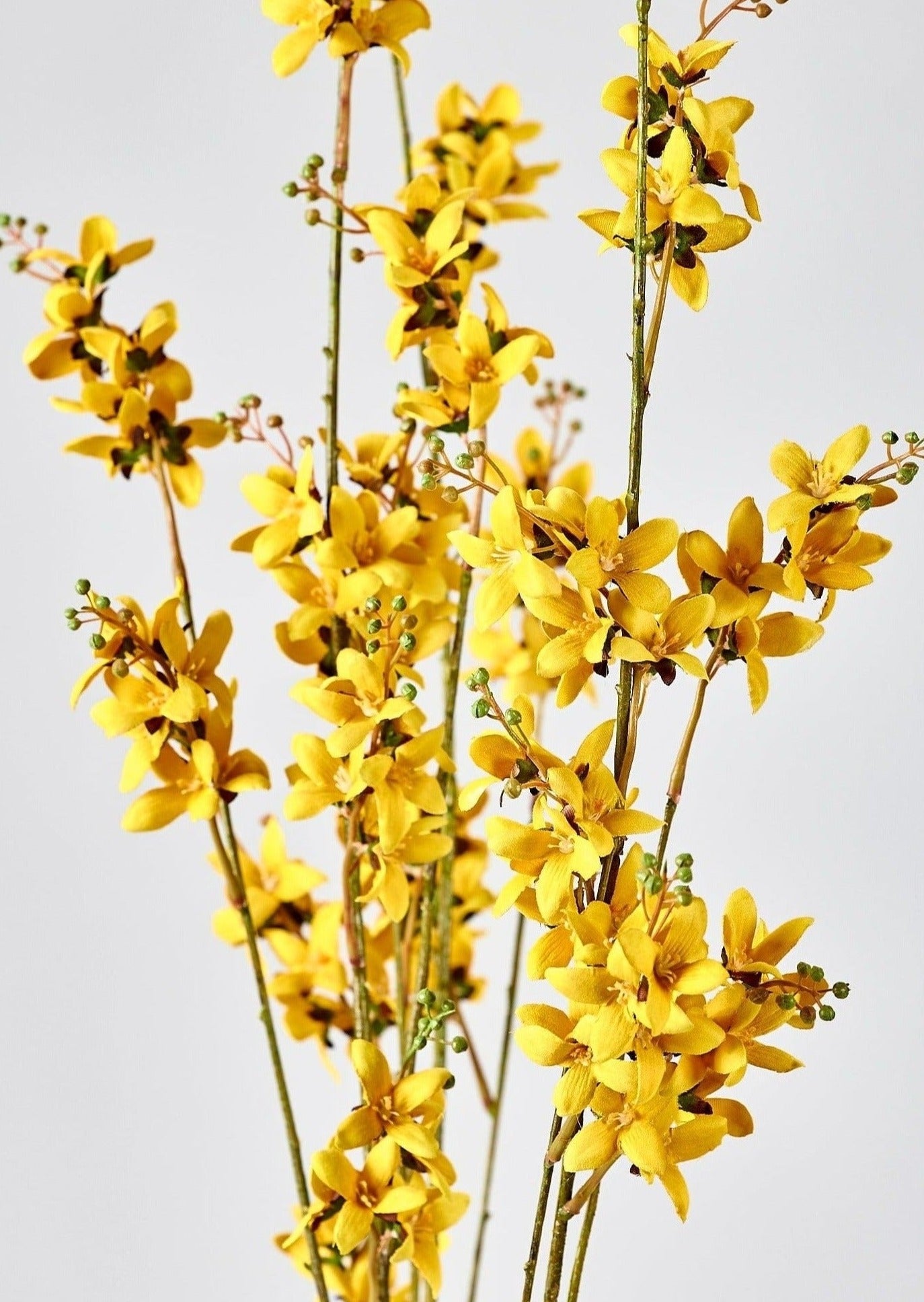 Tall Faux Forsythia Branch in Yellow - 53"