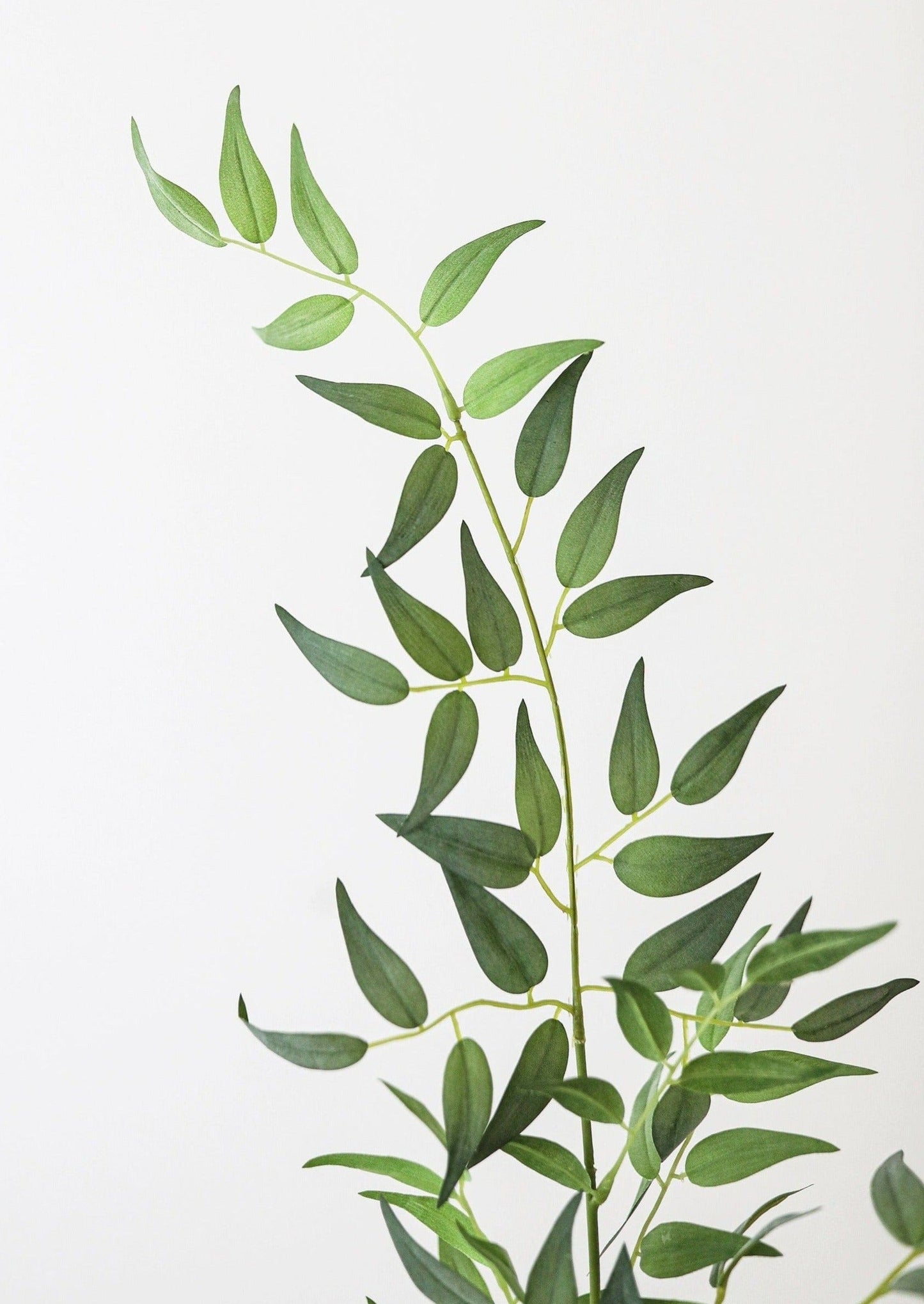 Fake Plants Italian Ruscus Branch - 49"