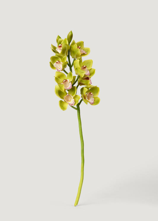 Green Burgundy Faux Cymbidium Orchids - 28.5"