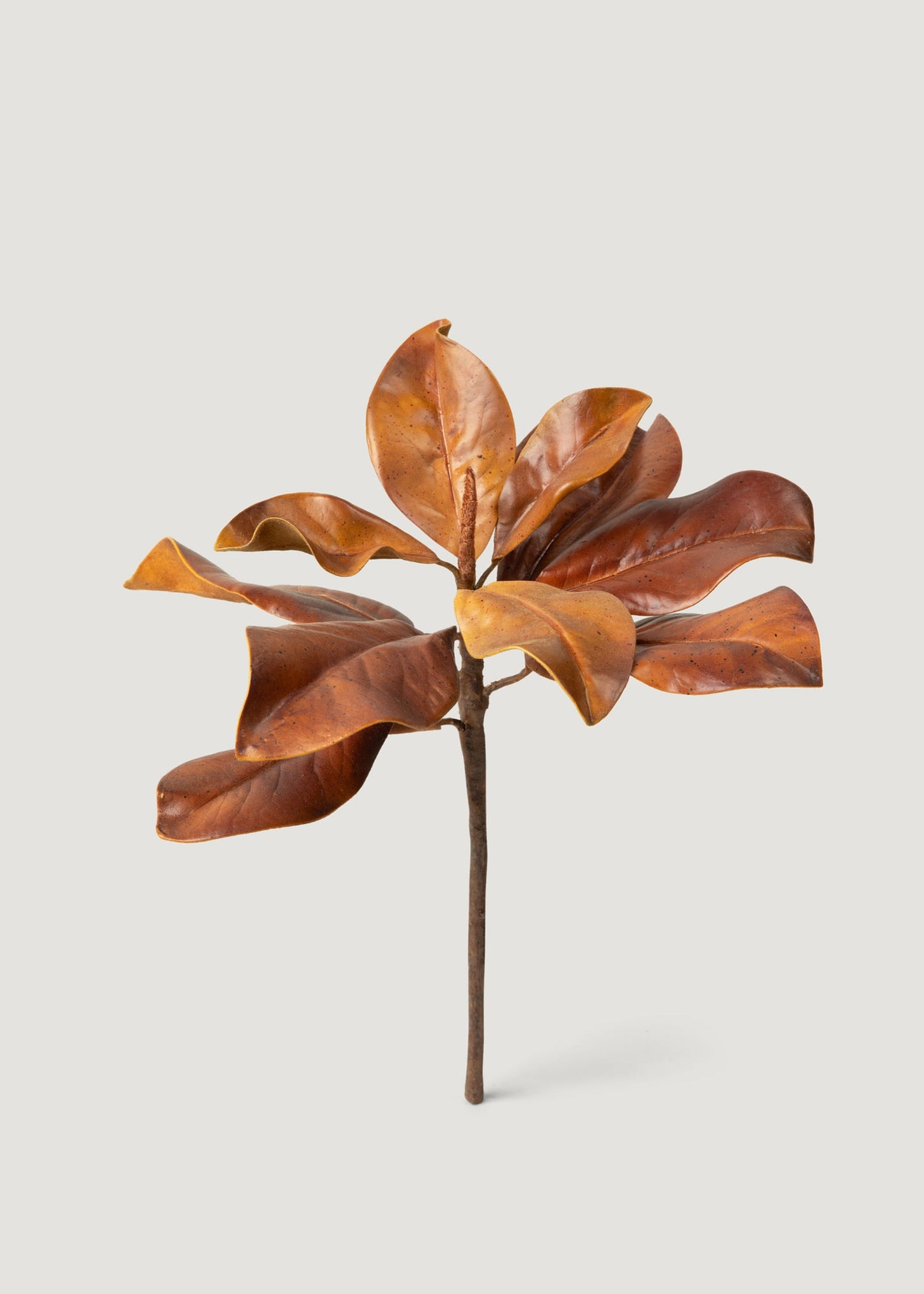 Fall Brown Natural Touch Faux Magnolia Leaf Pick - 12.5"