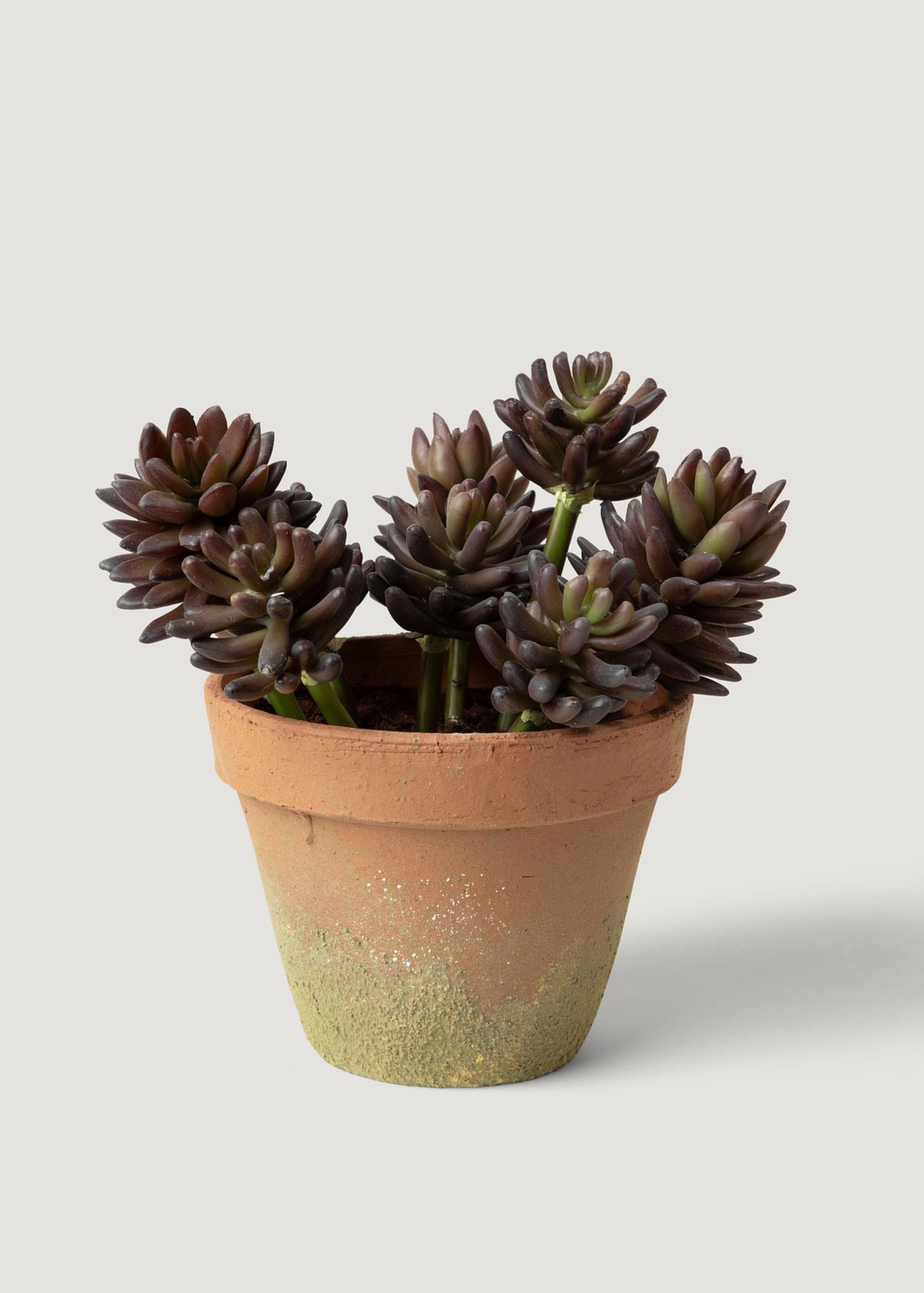 Small Artificial Potted Succulent Plant - 11"