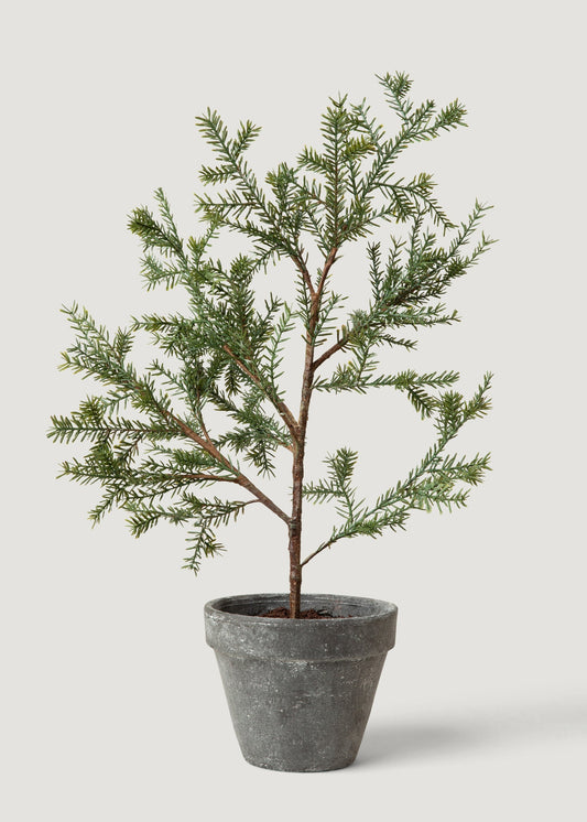 Table Top Faux Pine Tree in Pot - 19"