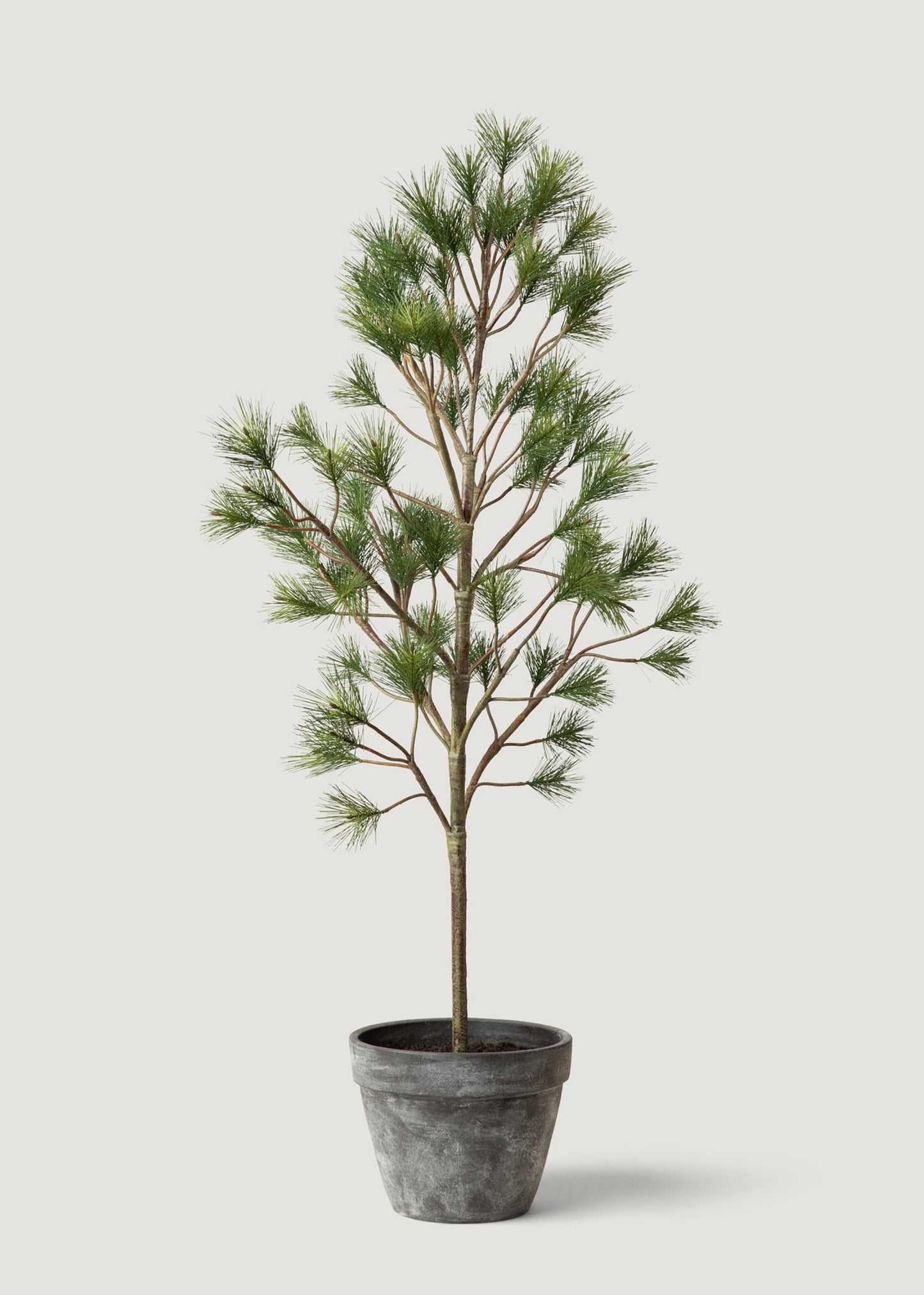 Potted Forest Pine Tree - 44"