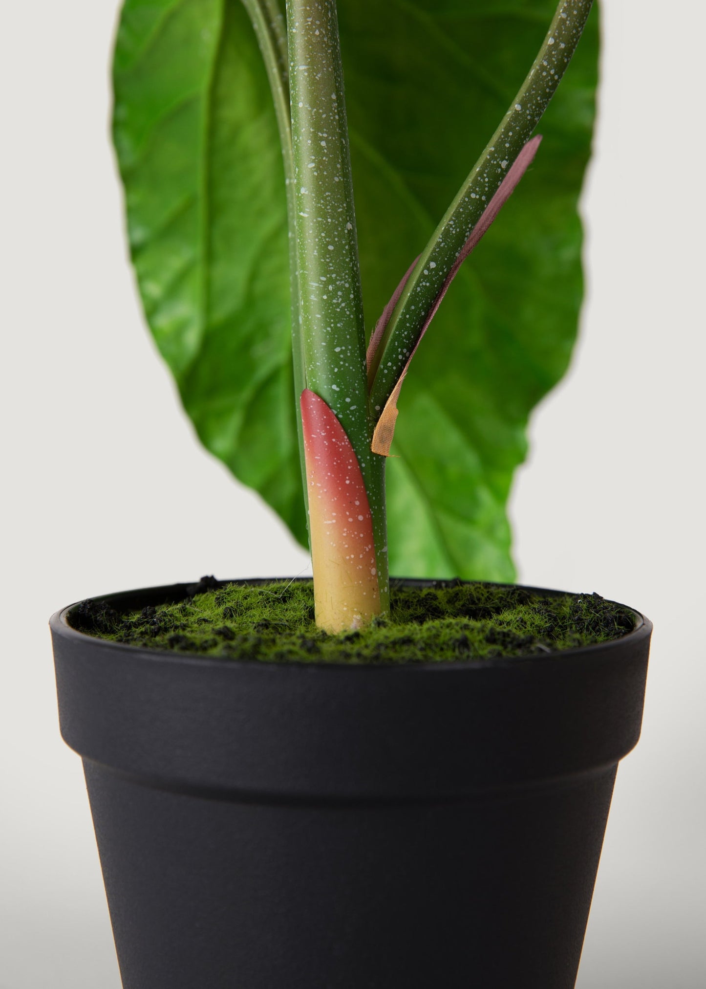 Artificial Tropical Alocasia Leaf Plant in Pot - 21"