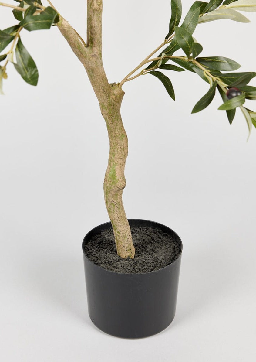 Artificial Potted Olive Tree Plant - 47.25"