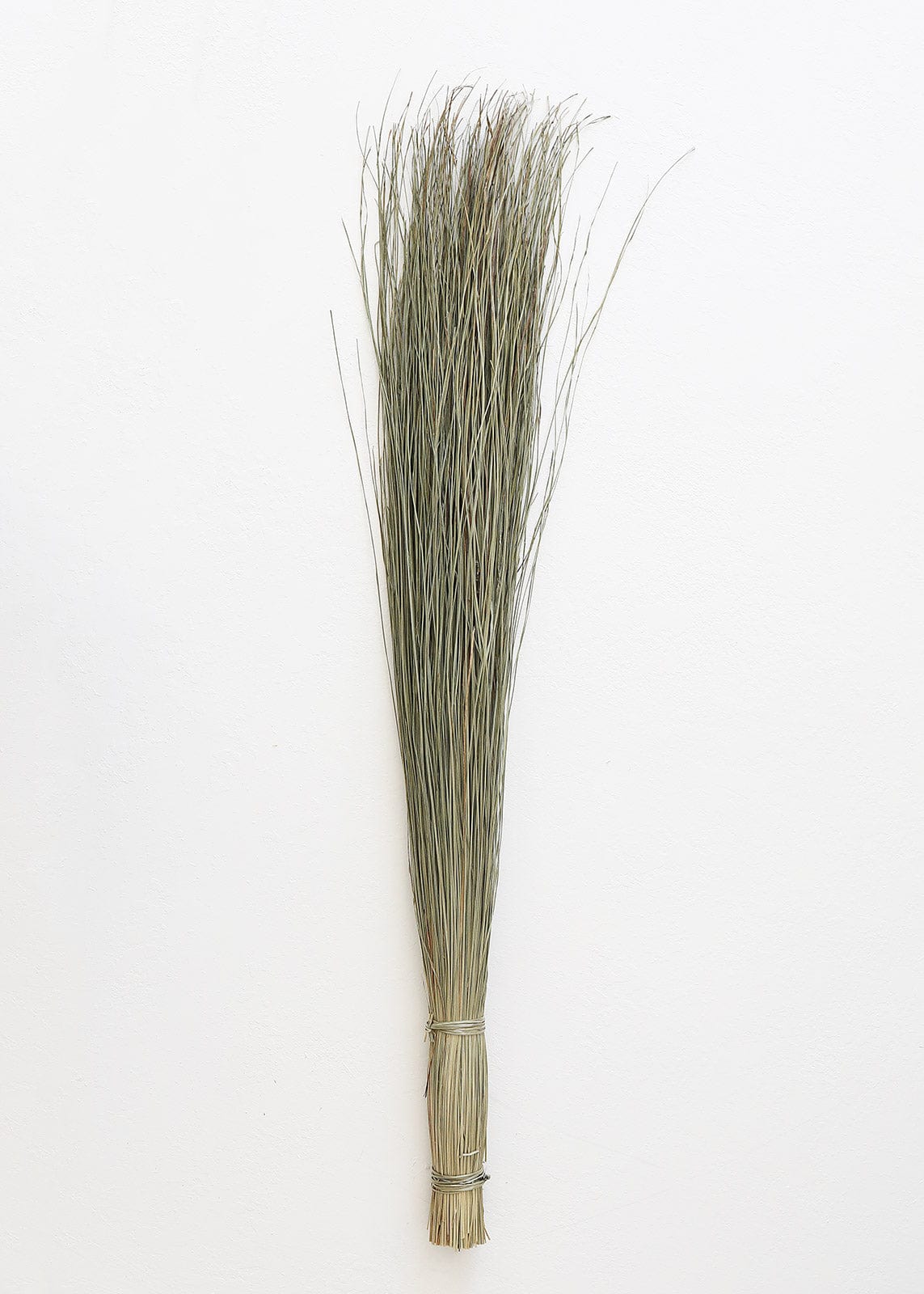 Preserved Coastal Dune Grass - 36"