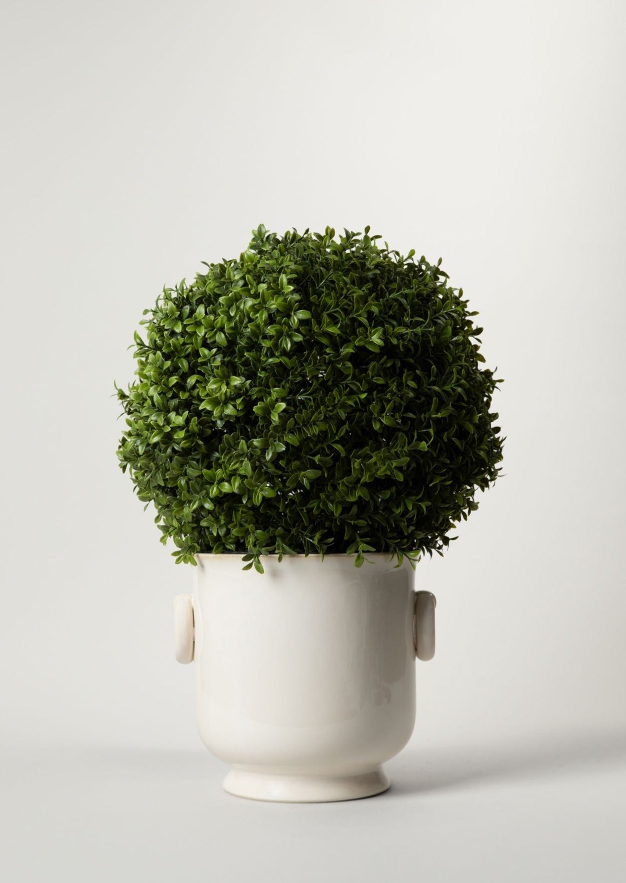 UV Treated Indoor/Covered Outdoor Faux Boxwood Topiary Plant in Pot - 22"