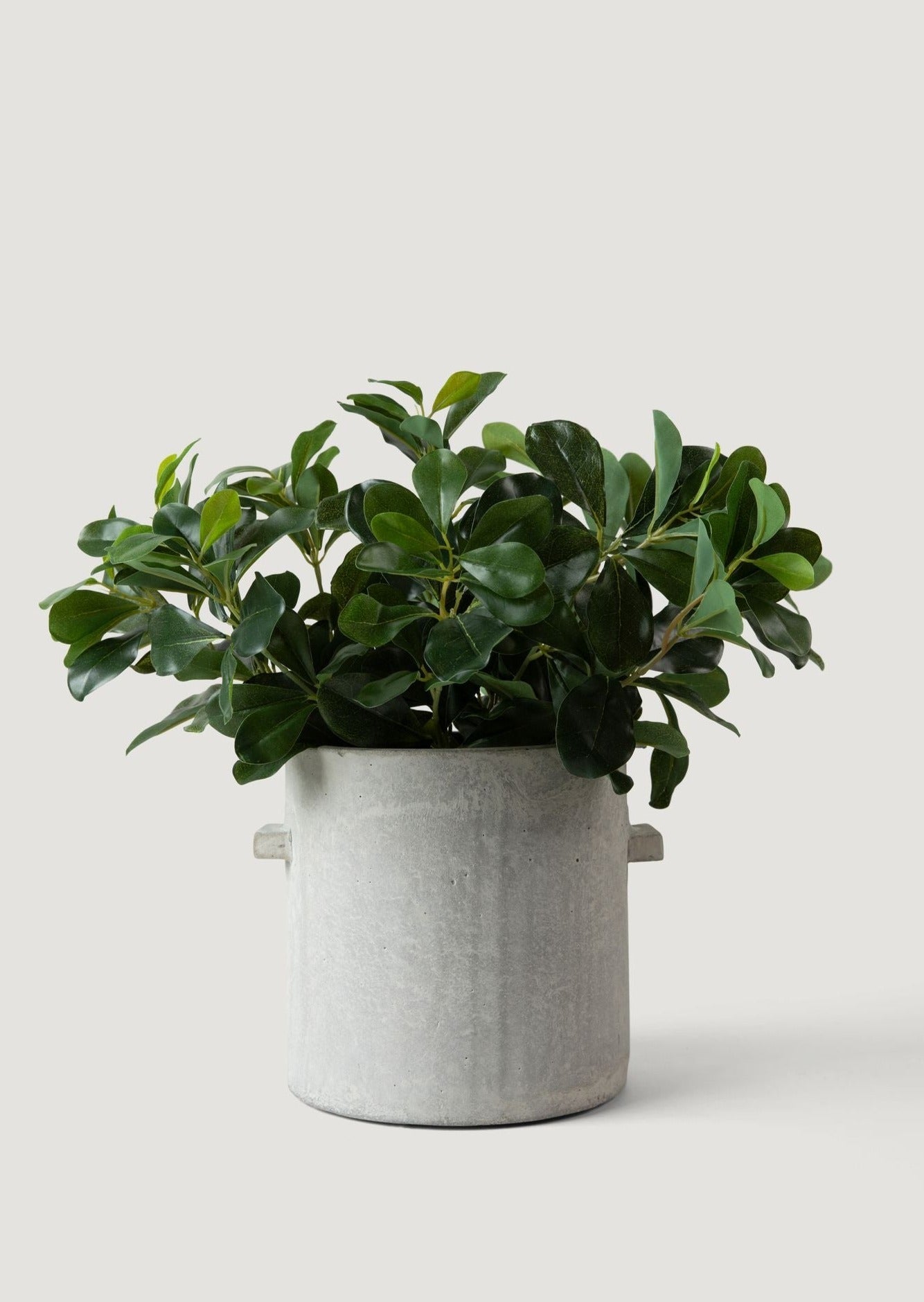 Natural Touch Artificial Wax Privet Leaf Plant - 15"