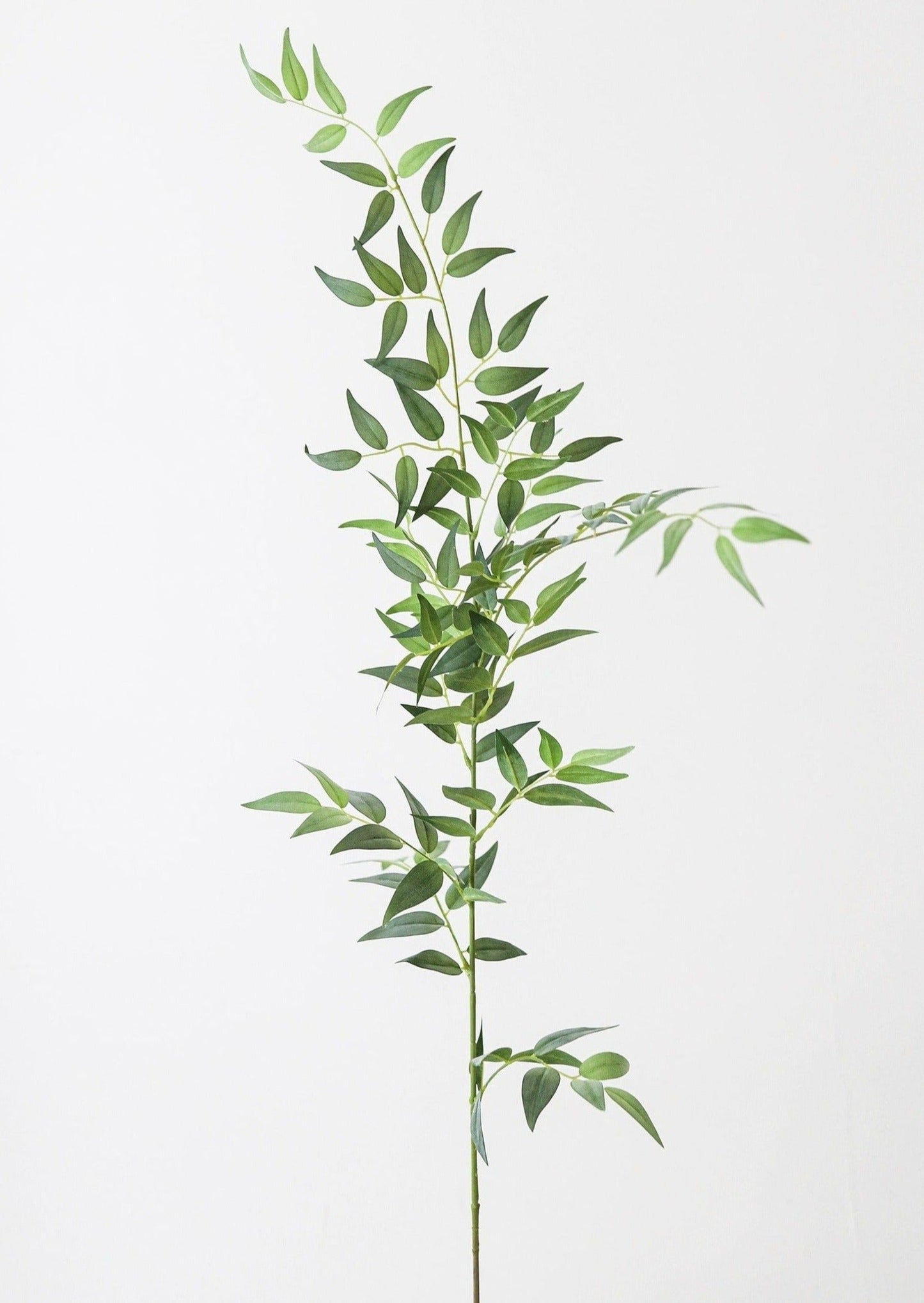 Fake Plants Italian Ruscus Branch - 49"