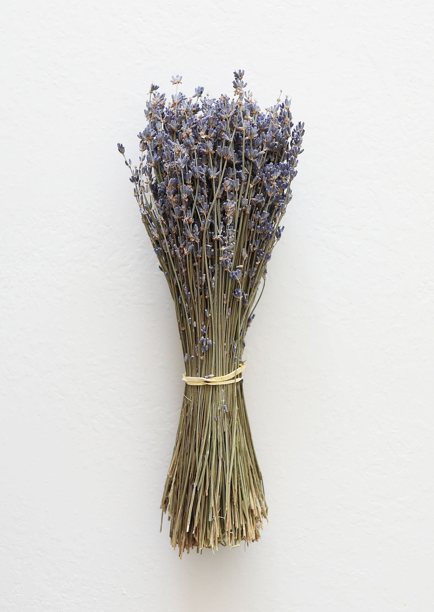 Natural Fragrant Dried Lavender Bundle - 6-14"