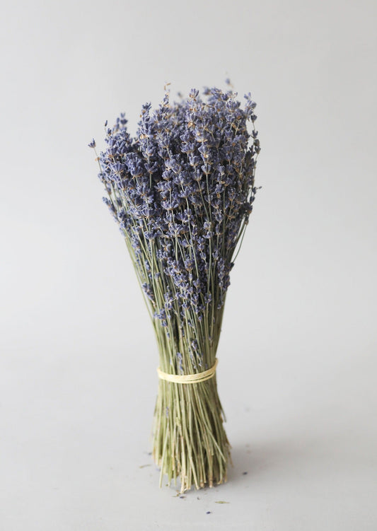 Natural Fragrant Dried Lavender Bundle - 6-14"