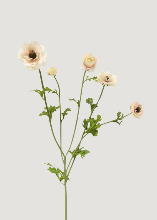 Light Cream Faux Ranunculus Flowers - 37.5"