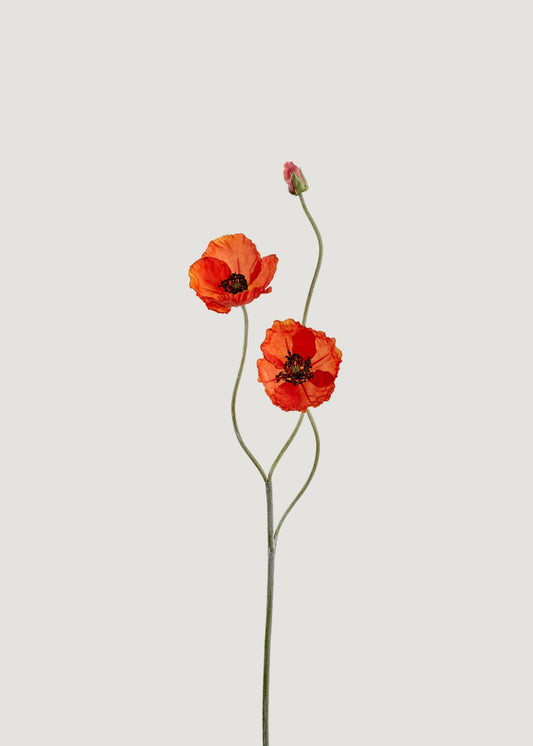 Faux Blooming Poppy Flowers in Orange - 29"