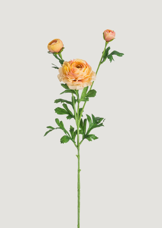 Peach Artificial Ranunculus Flower - 25"