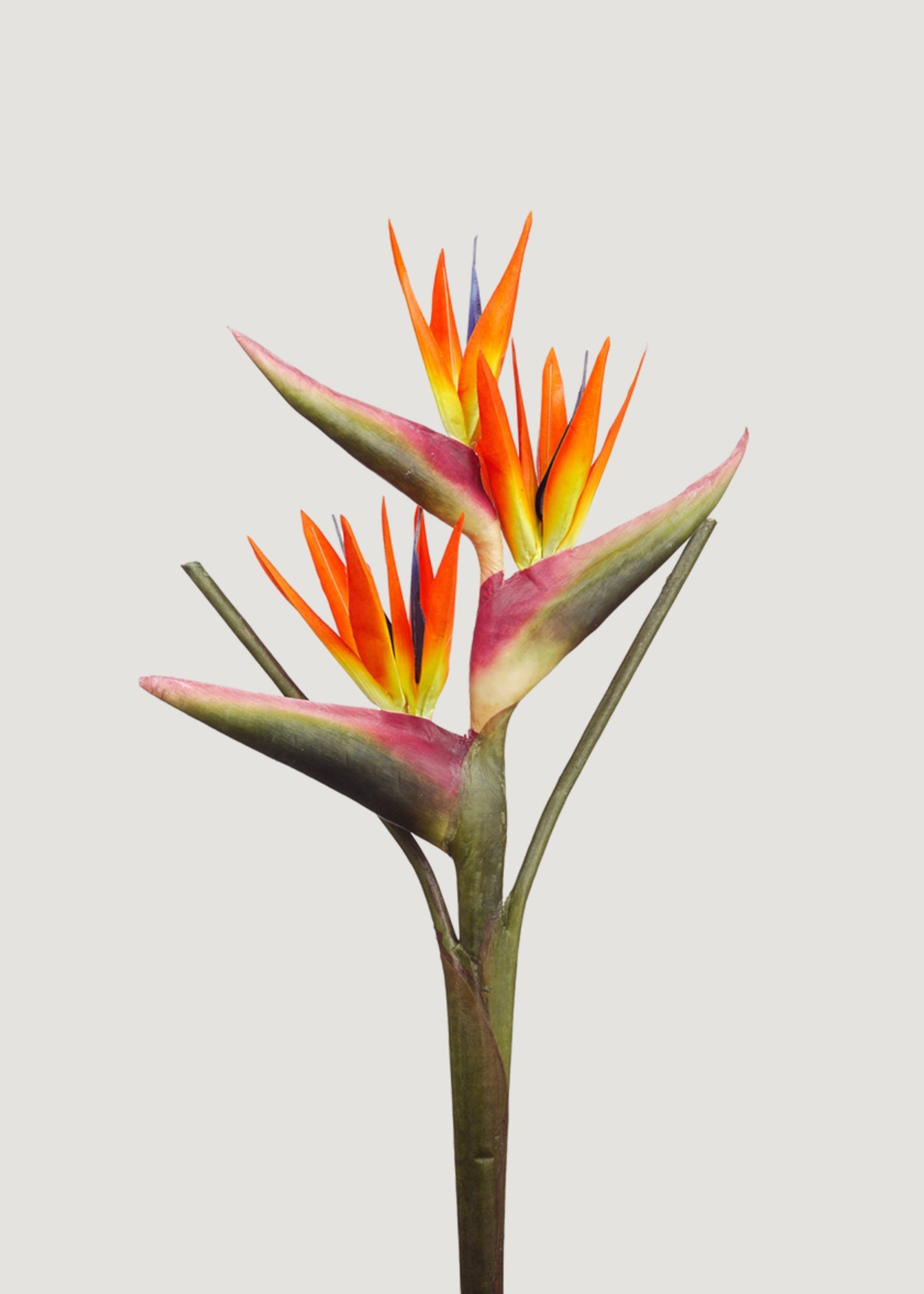 Large Bird of Paradise Faux Tropical Flower - 28"