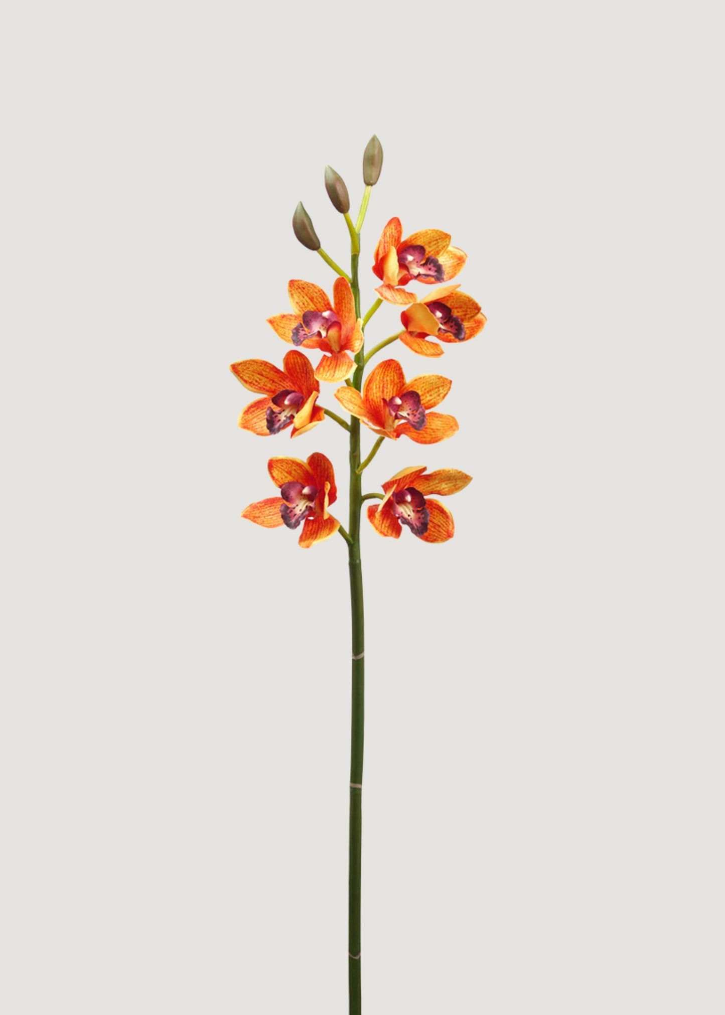 Orange Artificial Deluxe Cymbidium Orchid - 47"