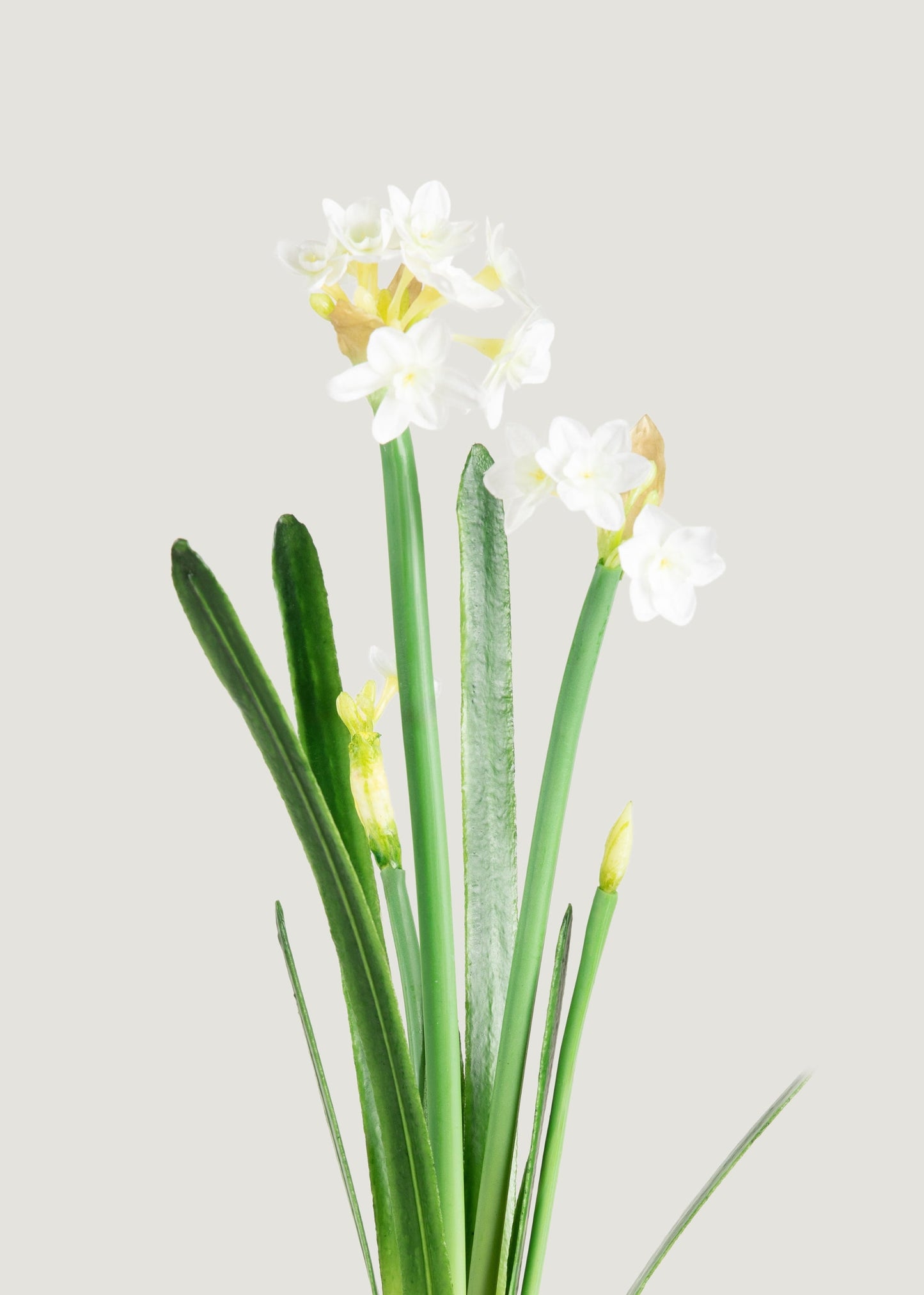 Spring Faux Blooming Paperwhite Narcissus Drop-In Plant - 20"