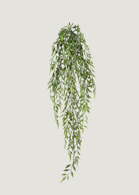 Artificial Hanging Ruscus Branch - 24"