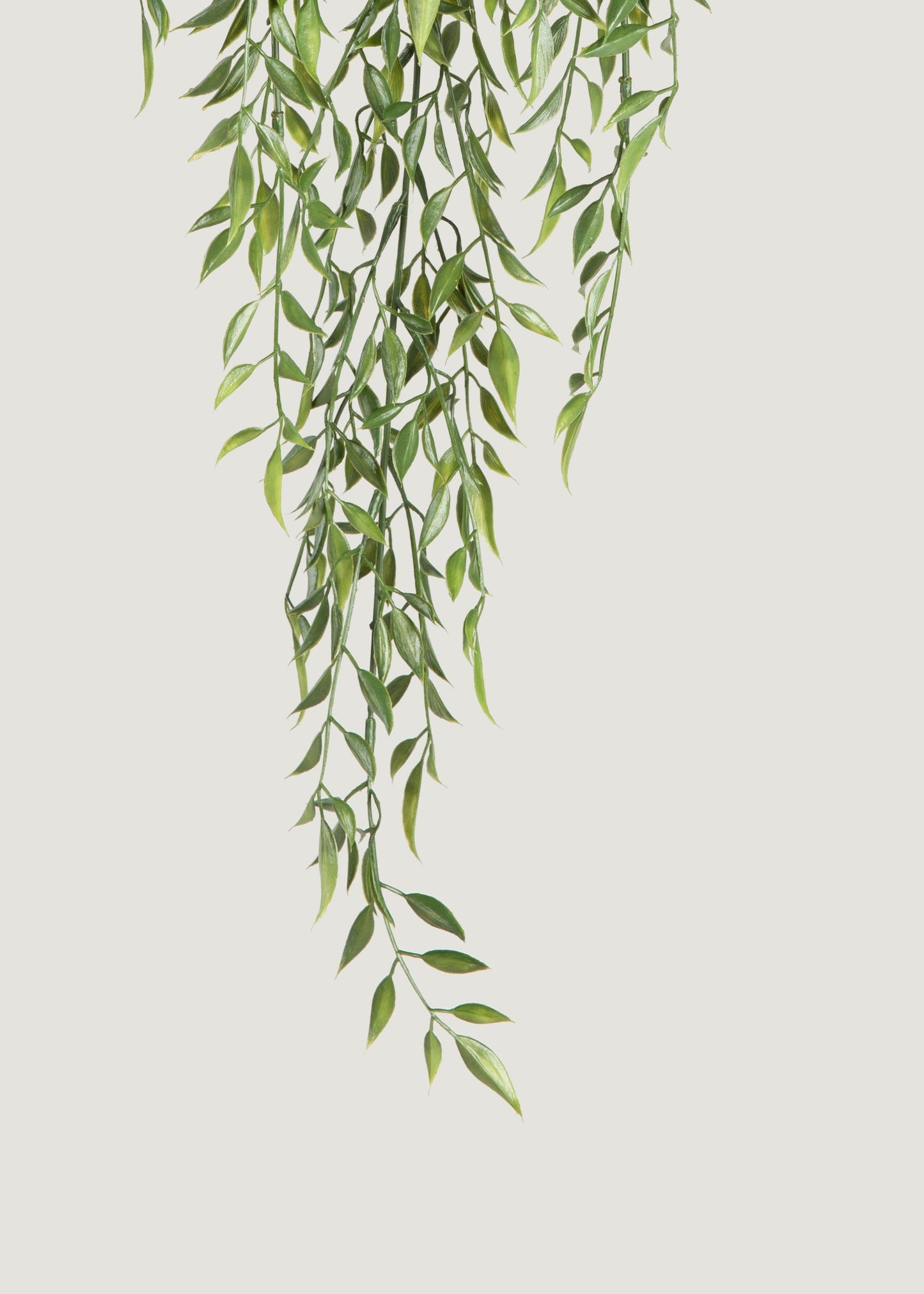 Artificial Hanging Ruscus Branch - 24"