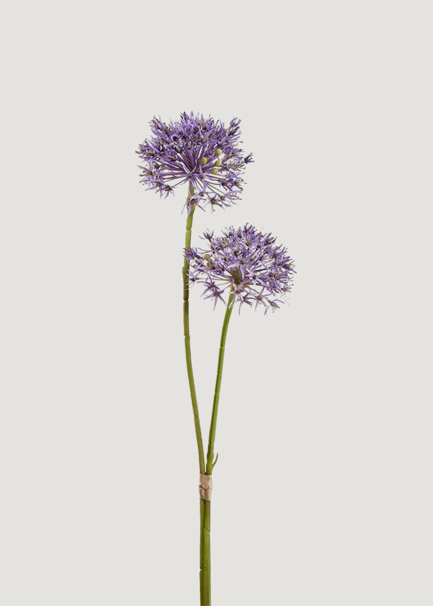 Artificial Allium Wildflower Bundle in Lavender - 30"