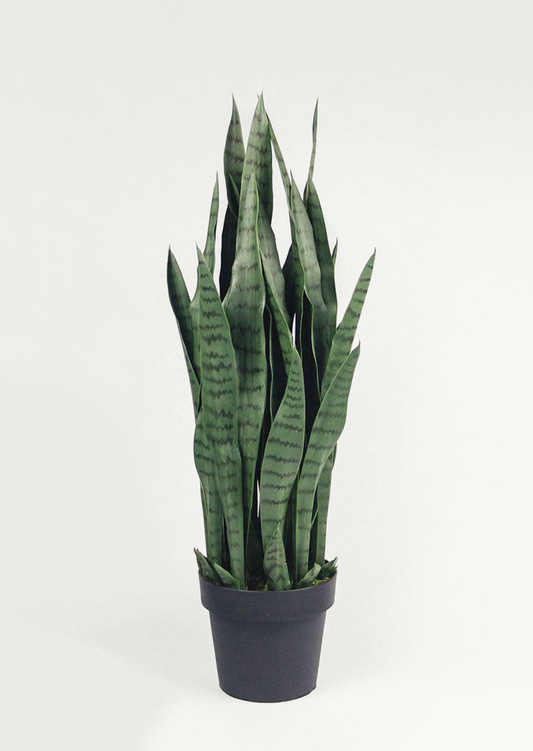 UV Treated Faux Indoor/Outdoor Potted Snake Plant - 35"