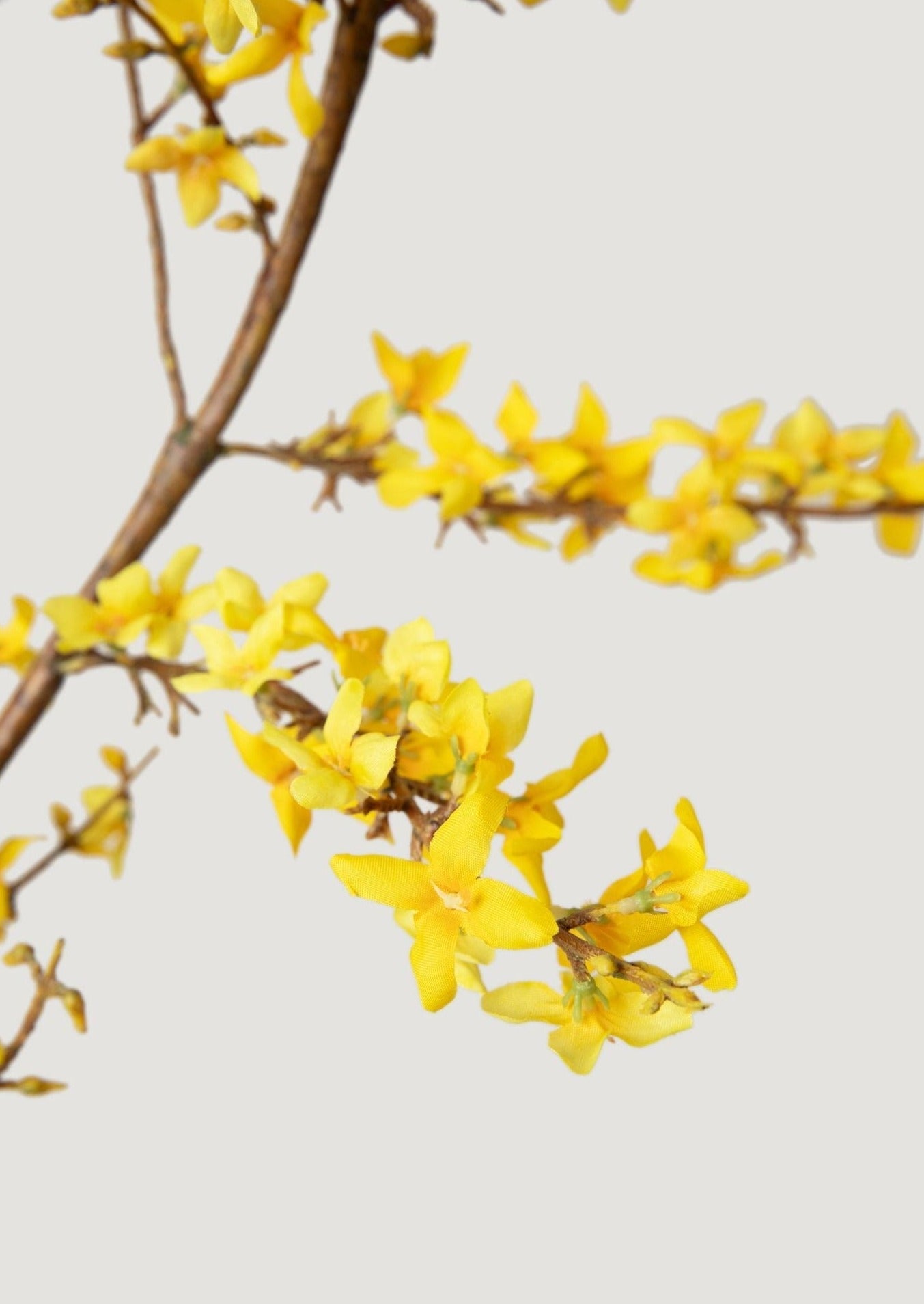 Yellow Faux Spring Forsythia Branch - 50"