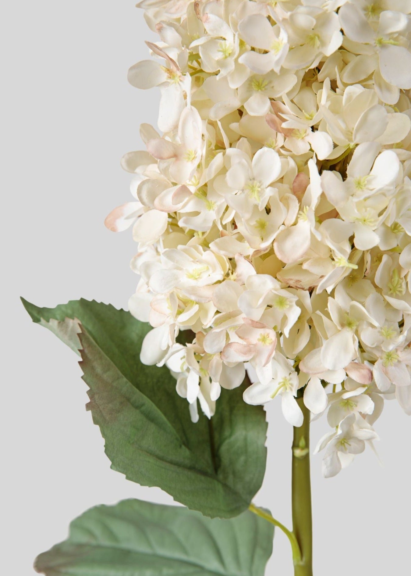 Large Faux Dried  Cone Hydrangea in Parchment